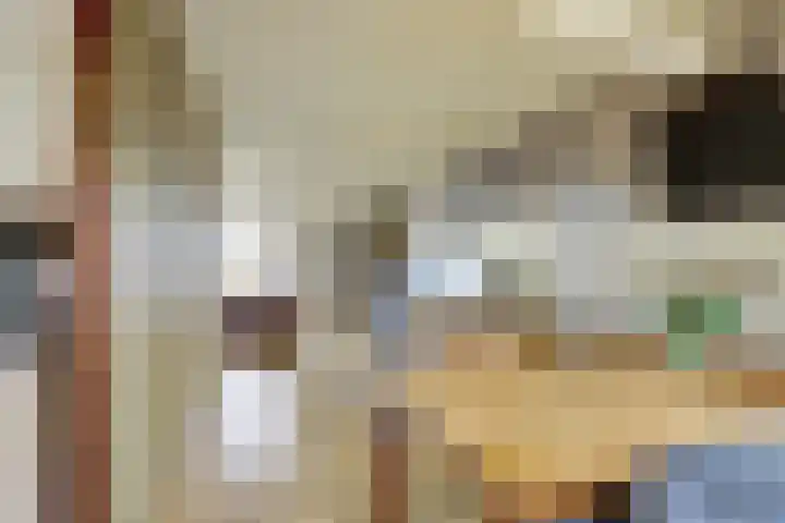 Fossielenerf 122 Heerlen thumbnail 12