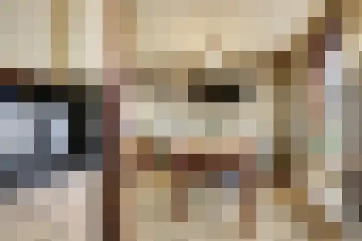Fossielenerf 122 Heerlen thumbnail 13