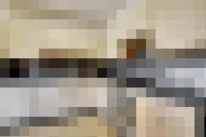 Fossielenerf 122 Heerlen thumbnail 14