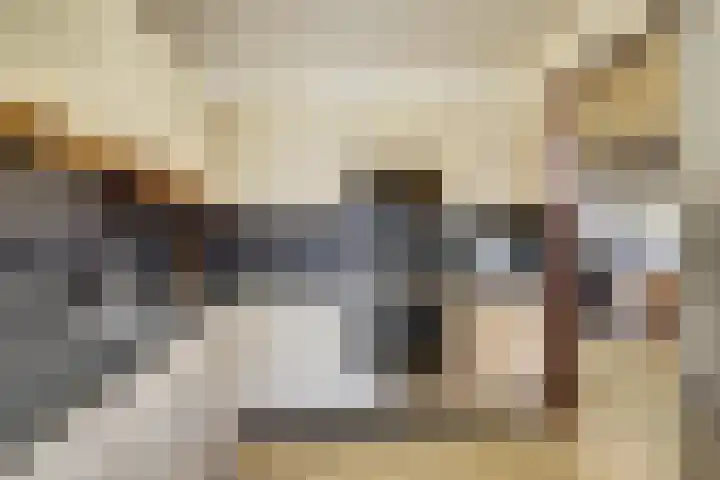 Fossielenerf 122 Heerlen thumbnail 15