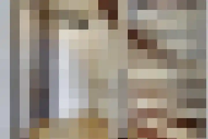 Fossielenerf 122 Heerlen thumbnail 17