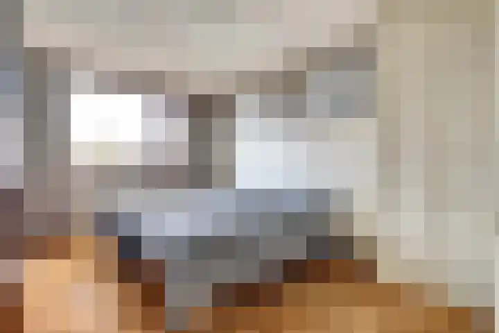 Fossielenerf 122 Heerlen thumbnail 18
