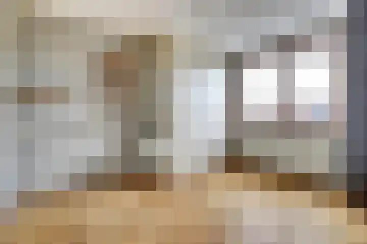 Fossielenerf 122 Heerlen thumbnail 21