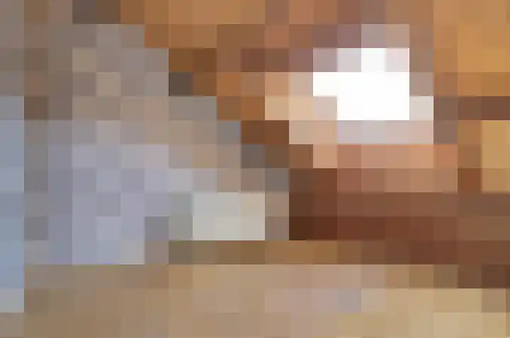 Fossielenerf 122 Heerlen thumbnail 22