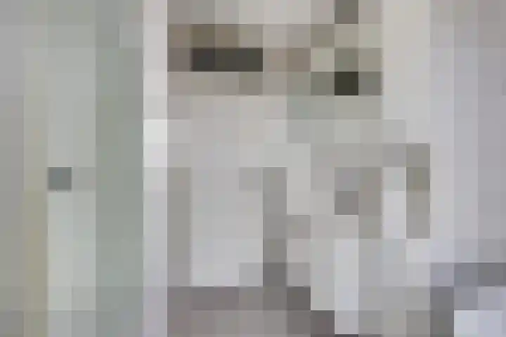 Fossielenerf 122 Heerlen thumbnail 23