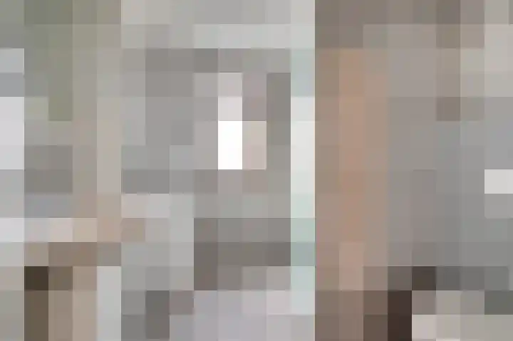 Fossielenerf 122 Heerlen thumbnail 24