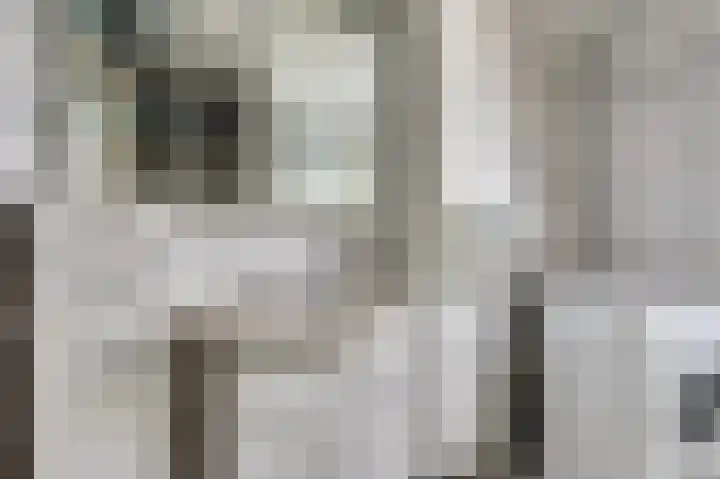 Fossielenerf 122 Heerlen thumbnail 25