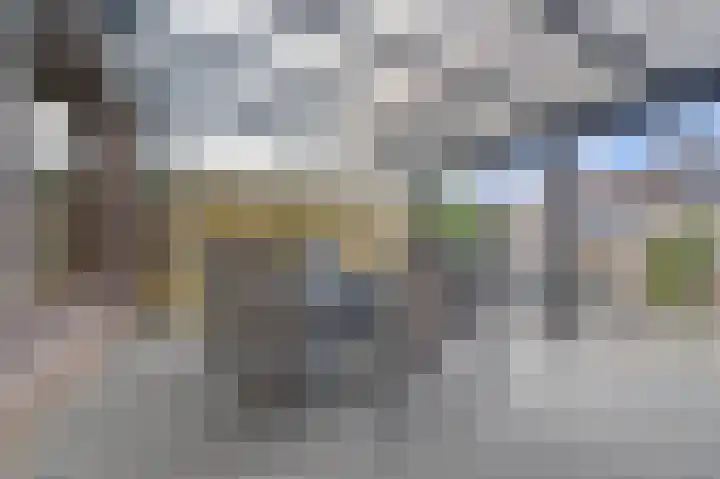 Fossielenerf 122 Heerlen thumbnail 27