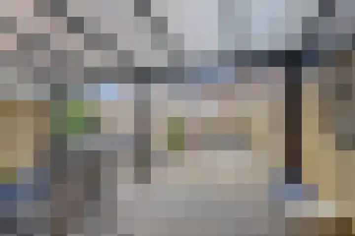 Fossielenerf 122 Heerlen thumbnail 28