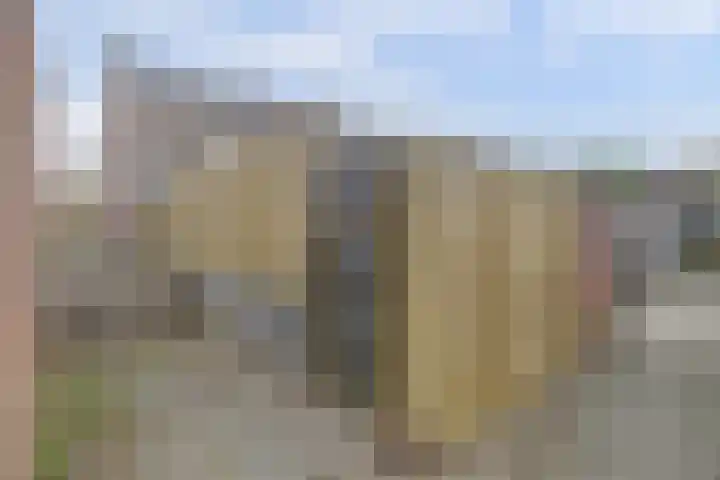 Fossielenerf 122 Heerlen thumbnail 33