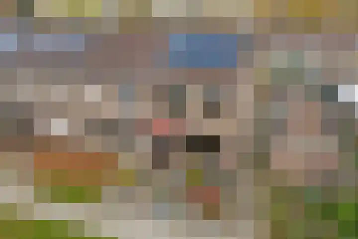 Fossielenerf 122 Heerlen thumbnail 34