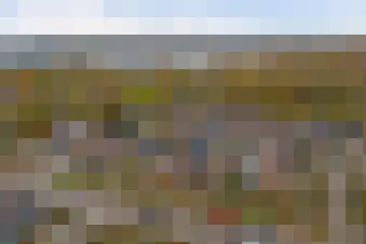 Fossielenerf 122 Heerlen thumbnail 35