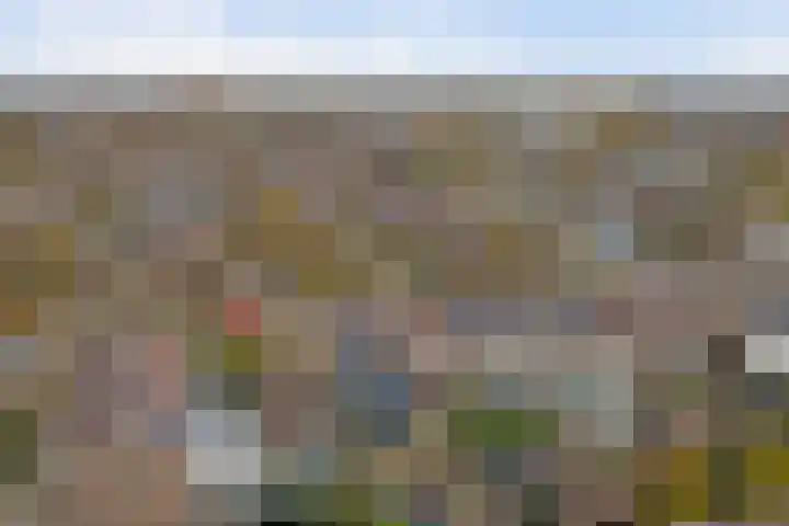 Fossielenerf 122 Heerlen thumbnail 37