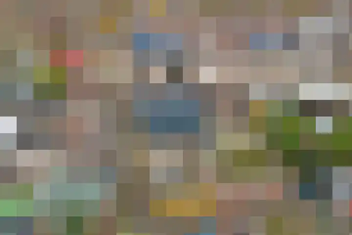 Fossielenerf 122 Heerlen thumbnail 38