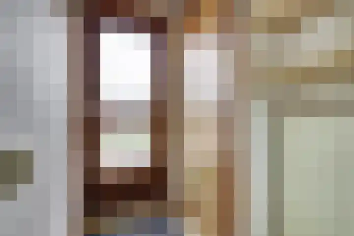 Fossielenerf 122 Heerlen thumbnail 5