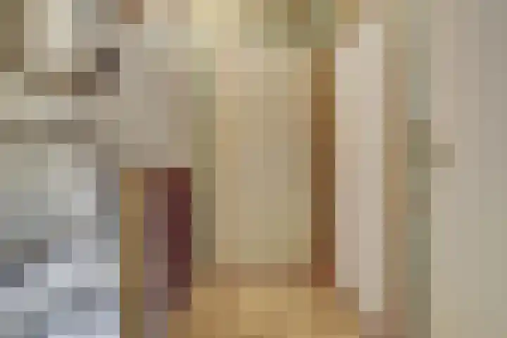 Fossielenerf 122 Heerlen thumbnail 7