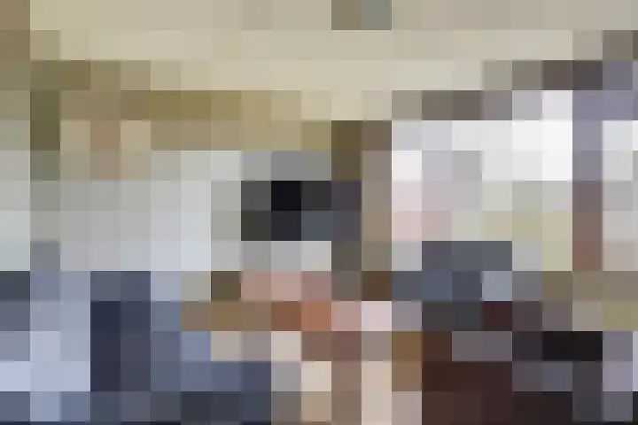 Fossielenerf 122 Heerlen thumbnail 8