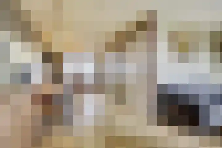 Fossielenerf 122 Heerlen thumbnail 9