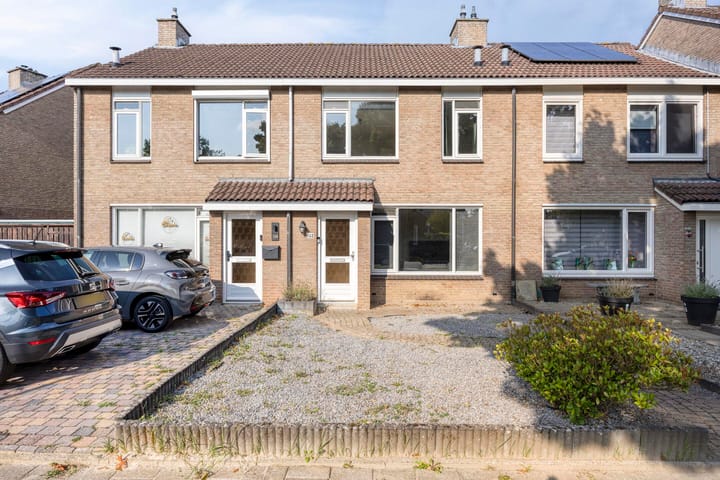 Fossielenerf 132 in Heerlen Foto