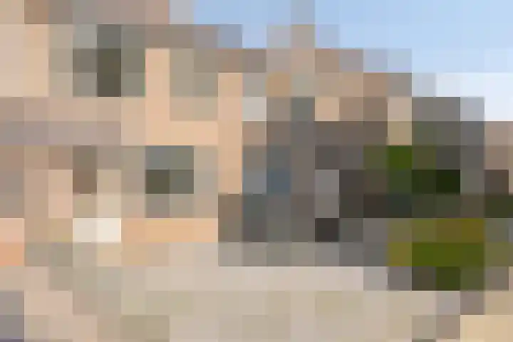 Fossielenerf 132 Heerlen thumbnail 10