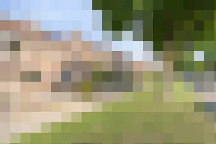 Fossielenerf 132 Heerlen thumbnail 11
