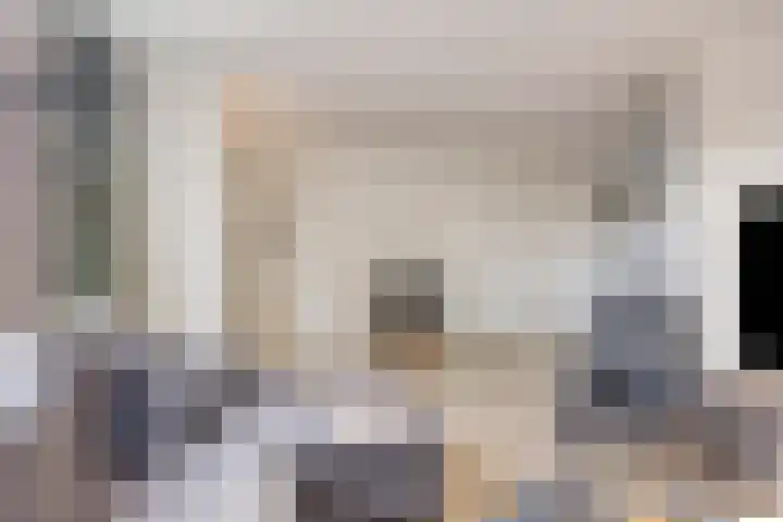 Fossielenerf 132 Heerlen thumbnail 17