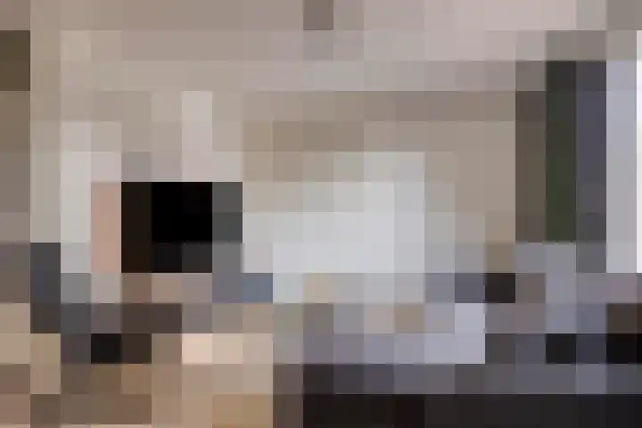 Fossielenerf 132 Heerlen thumbnail 18