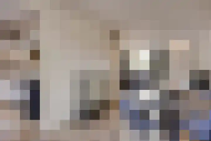 Fossielenerf 132 Heerlen thumbnail 20