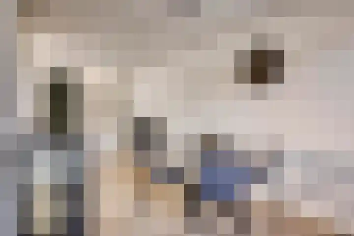 Fossielenerf 132 Heerlen thumbnail 22