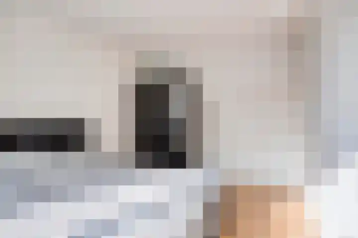 Fossielenerf 132 Heerlen thumbnail 25