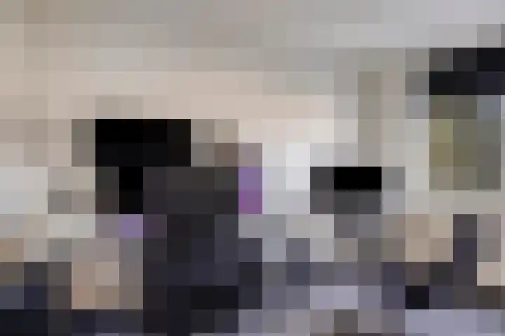 Fossielenerf 132 Heerlen thumbnail 28