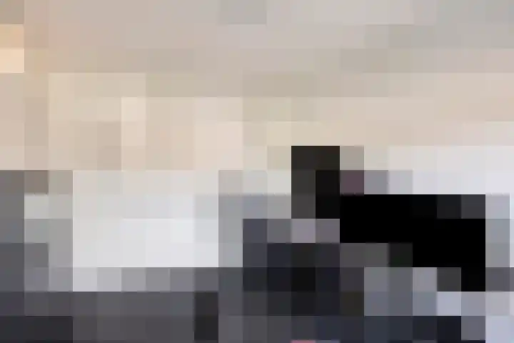 Fossielenerf 132 Heerlen thumbnail 29