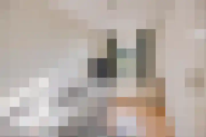 Fossielenerf 132 Heerlen thumbnail 30