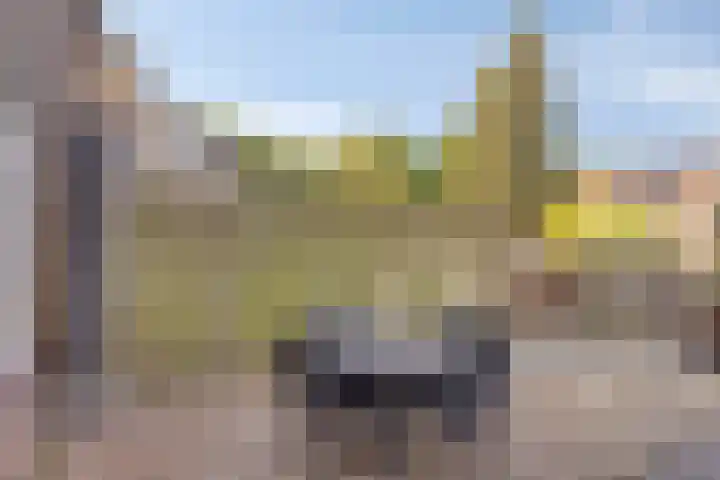 Fossielenerf 132 Heerlen thumbnail 31