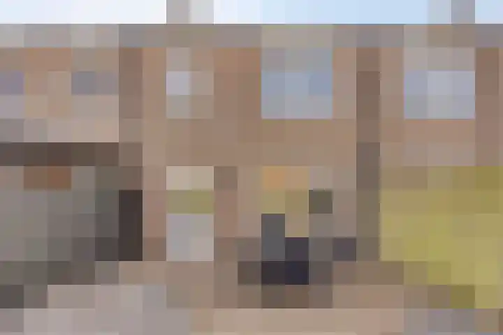 Fossielenerf 132 Heerlen thumbnail 33