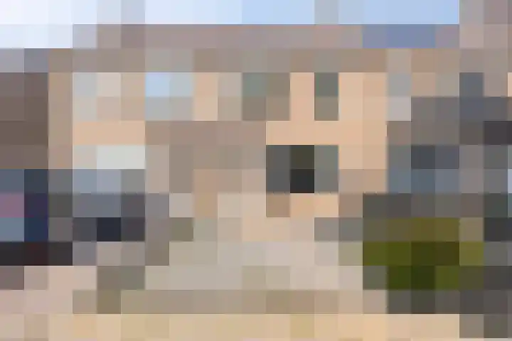 Fossielenerf 132 Heerlen thumbnail 38