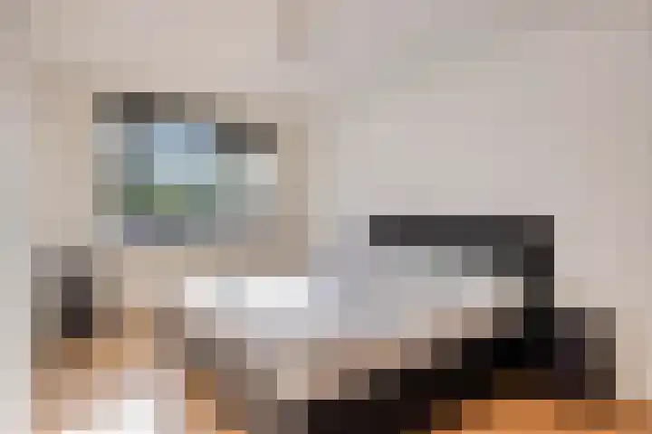 Fossielenerf 132 Heerlen thumbnail 4