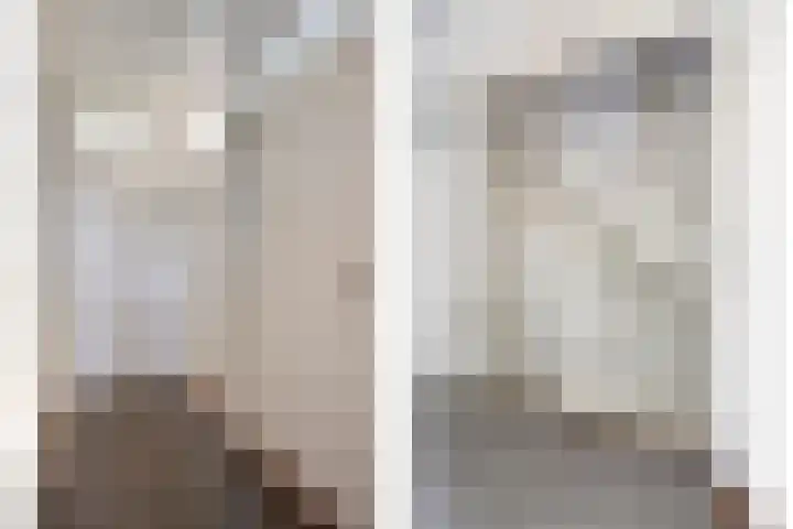Fossielenerf 132 Heerlen thumbnail 8