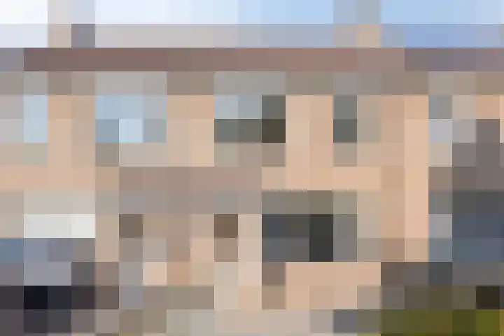 Fossielenerf 132 Heerlen thumbnail 9