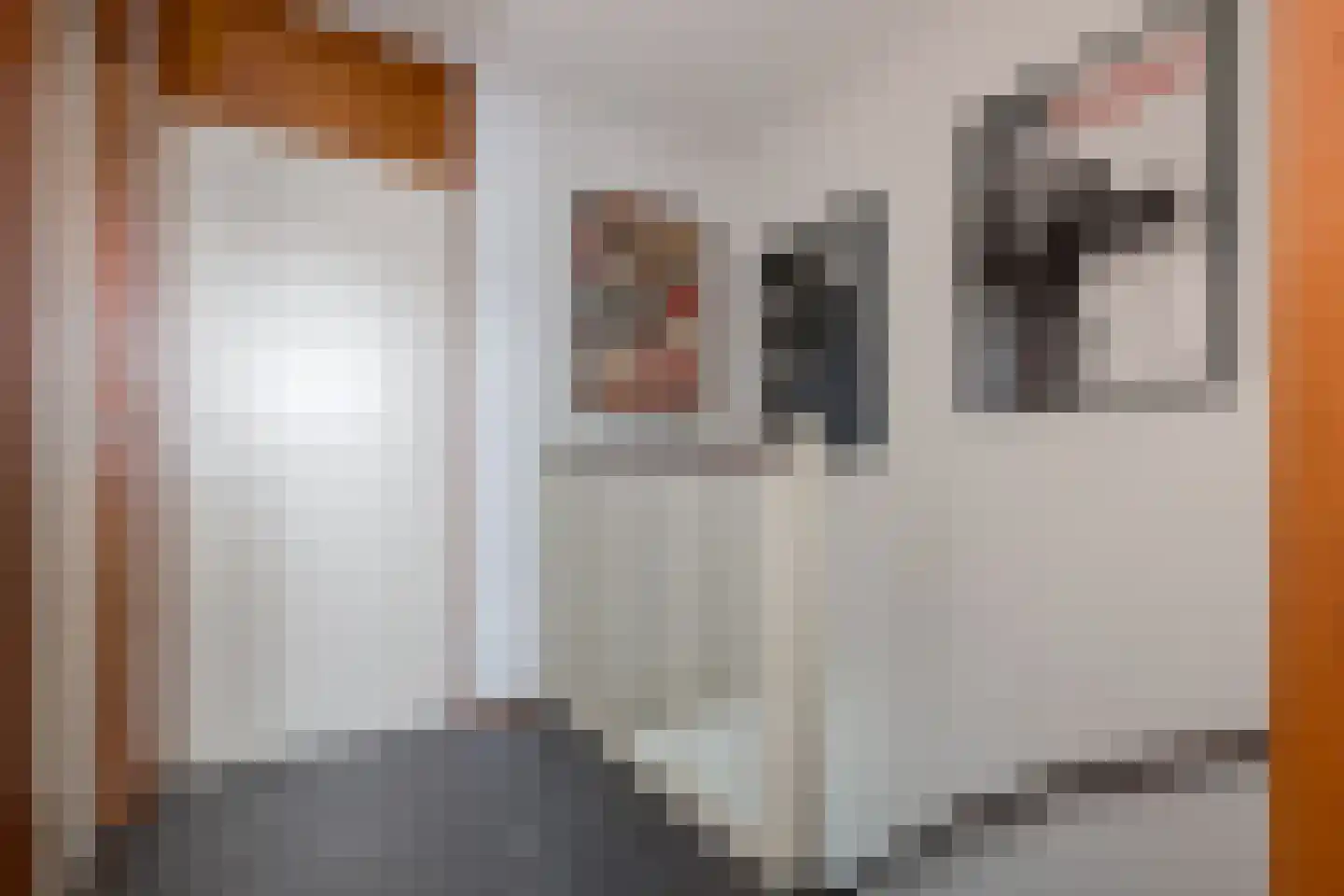 Fossielenerf 160 Heerlen thumbnail 12
