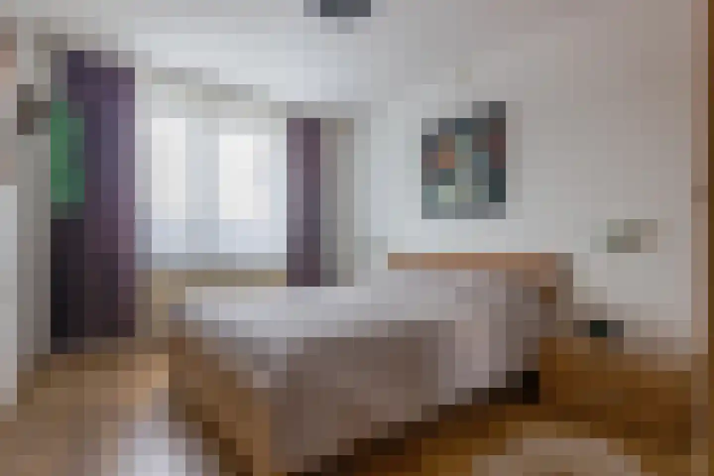 Fossielenerf 160 Heerlen thumbnail 13