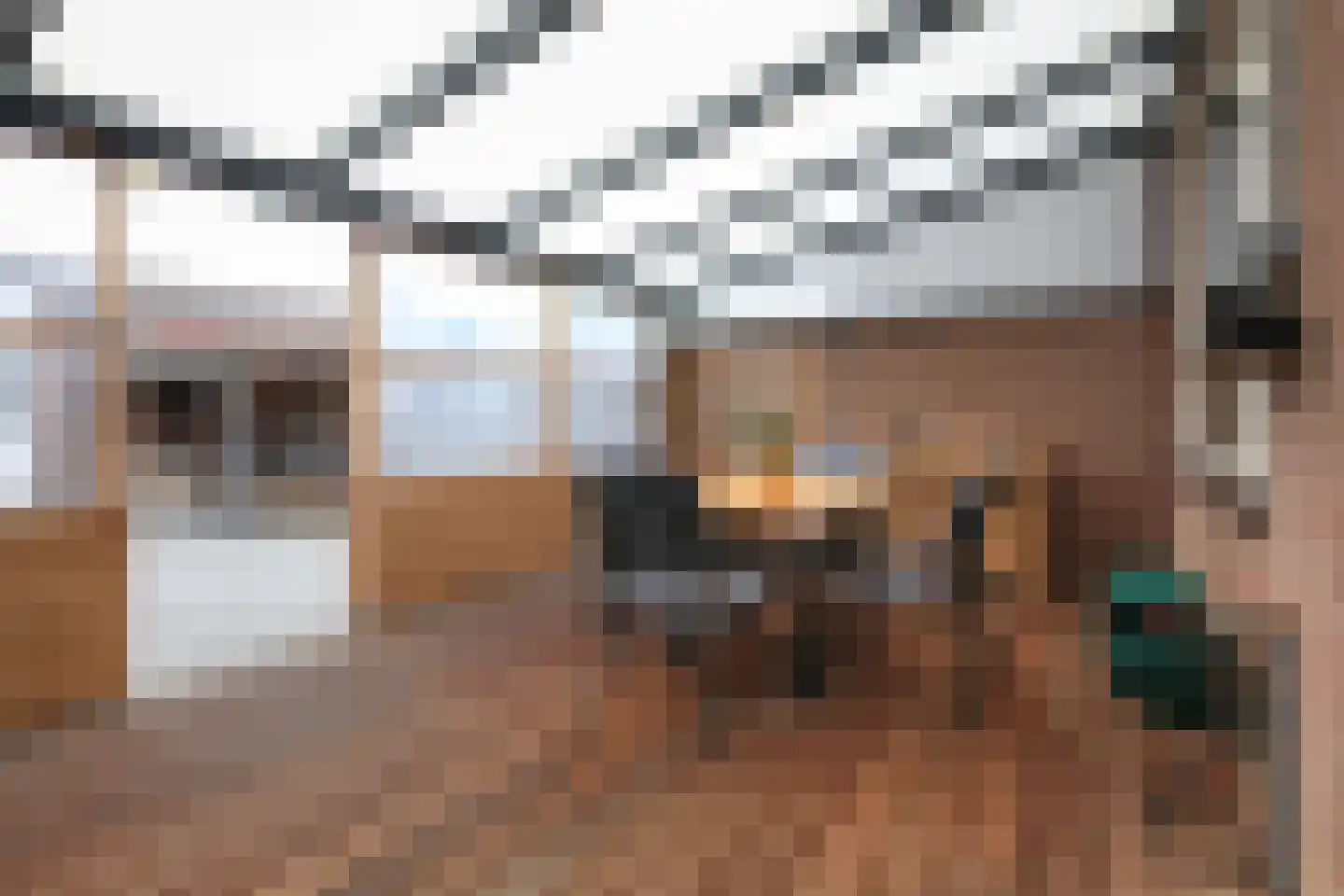 Fossielenerf 160 Heerlen thumbnail 22