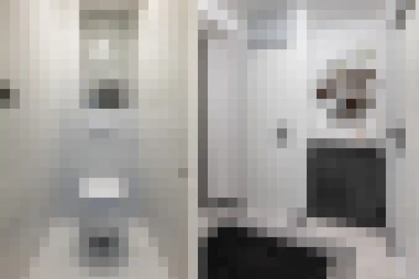 Fossielenerf 196 Heerlen thumbnail 10