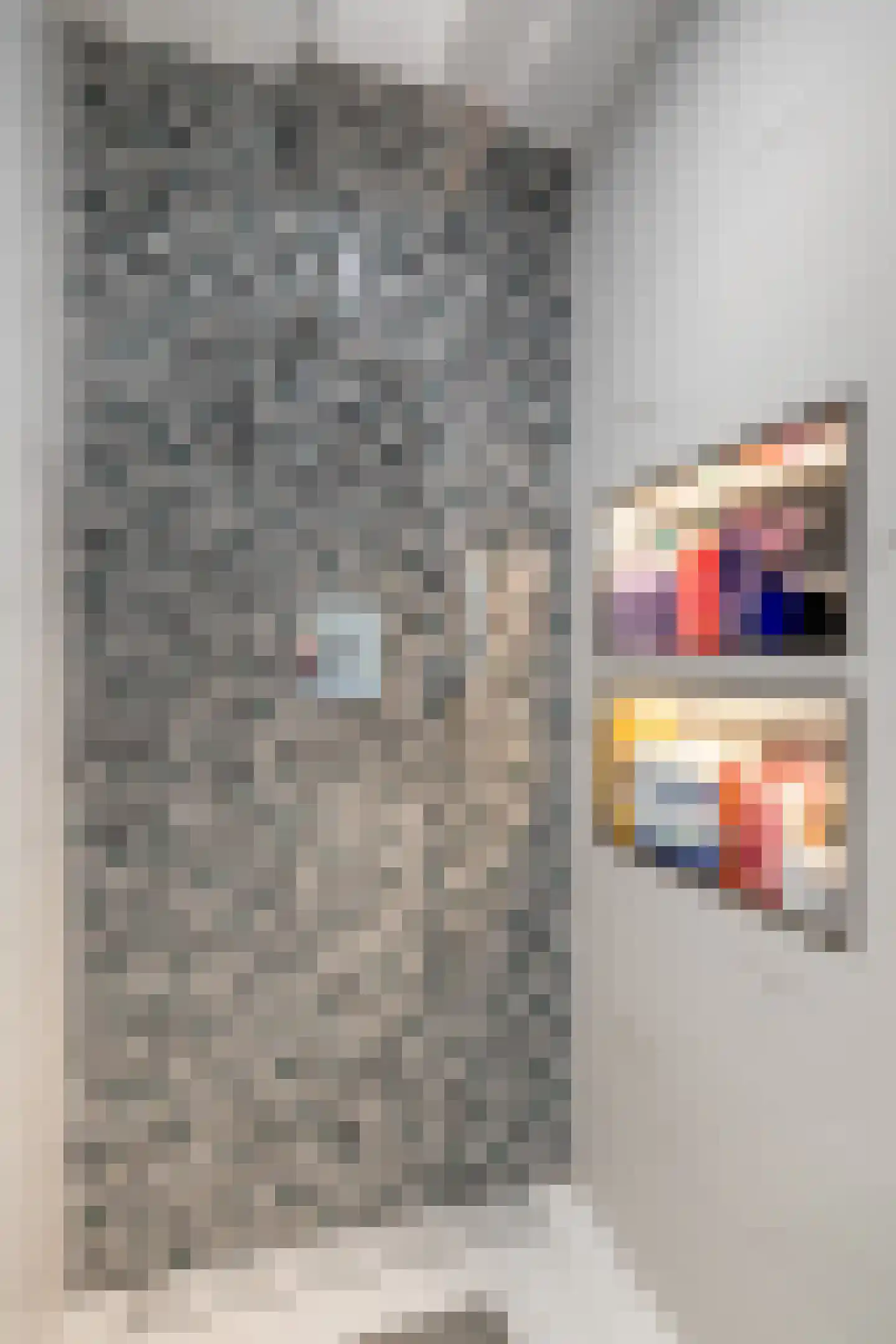 Fossielenerf 196 Heerlen thumbnail 19