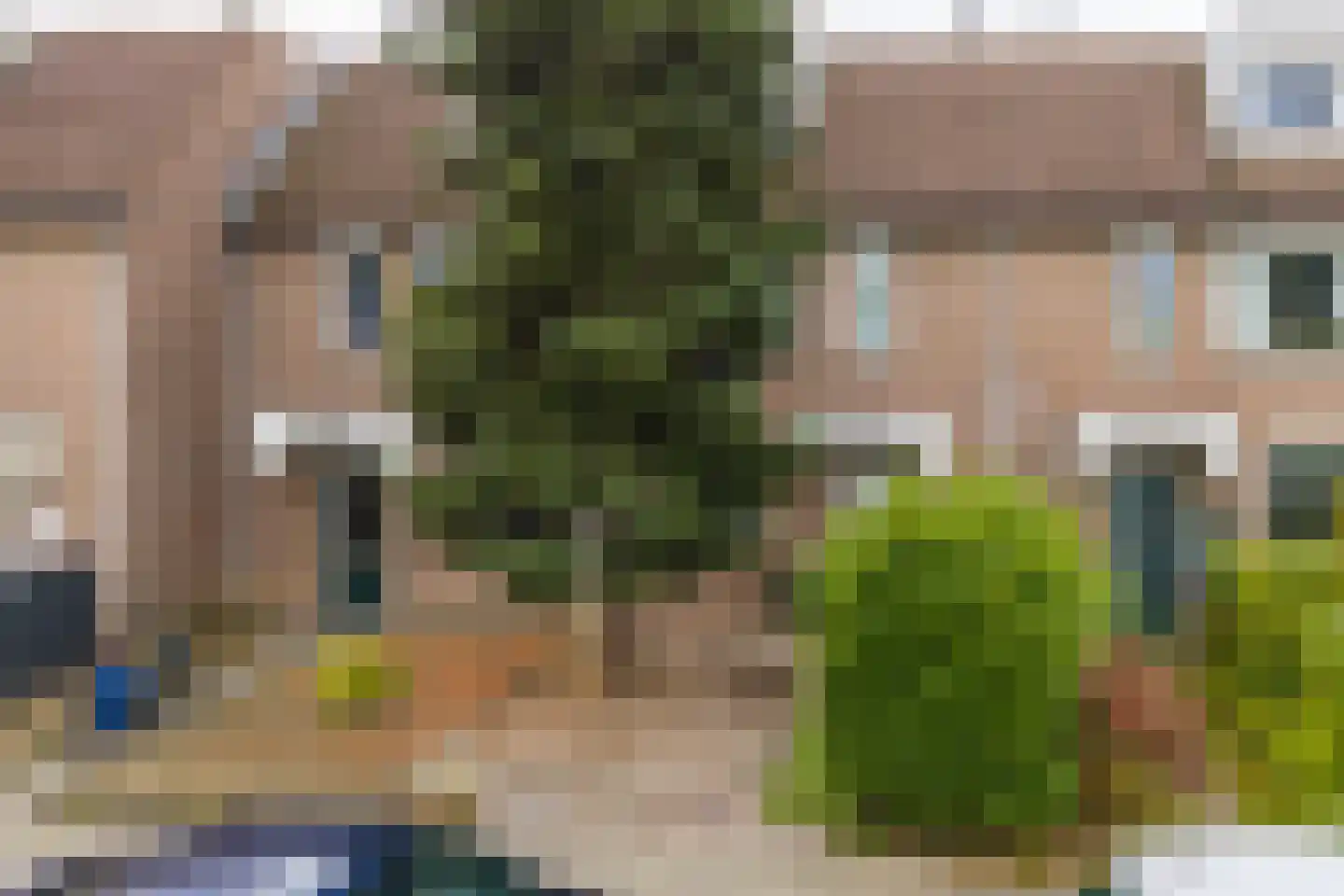 Fossielenerf 196 Heerlen thumbnail 21