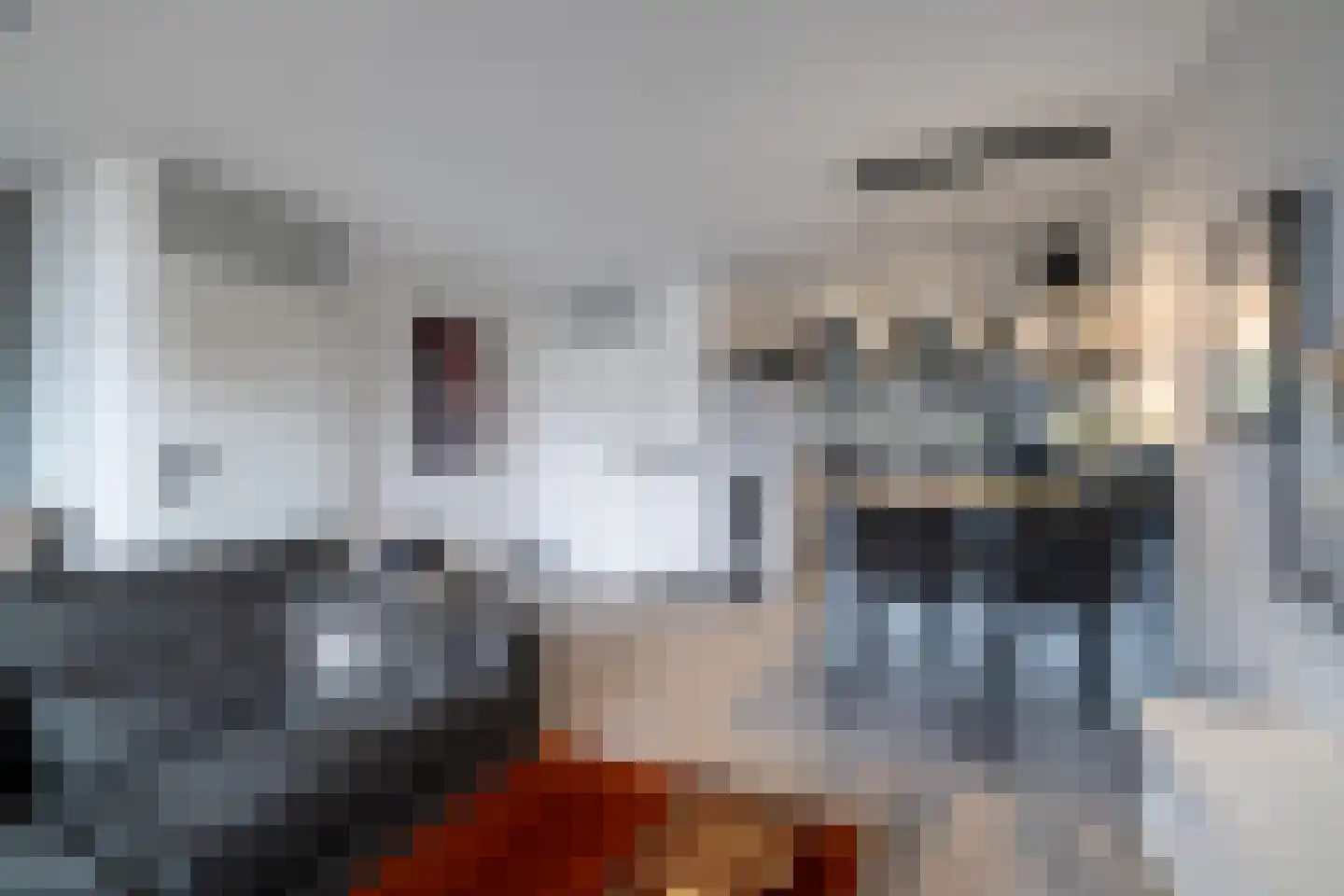 Fossielenerf 196 Heerlen thumbnail 7