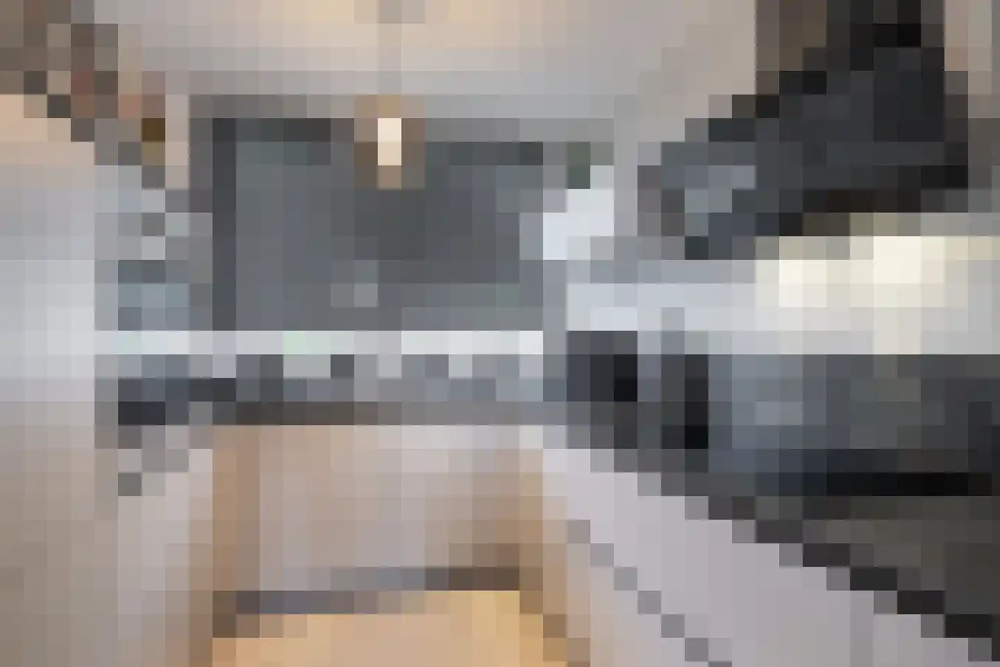 Fossielenerf 196 Heerlen thumbnail 9