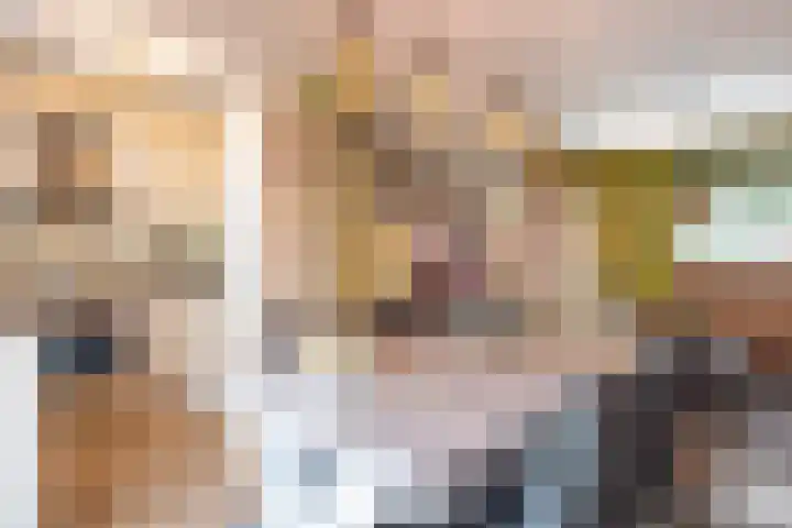 Fossielenerf 512 Heerlen thumbnail 10
