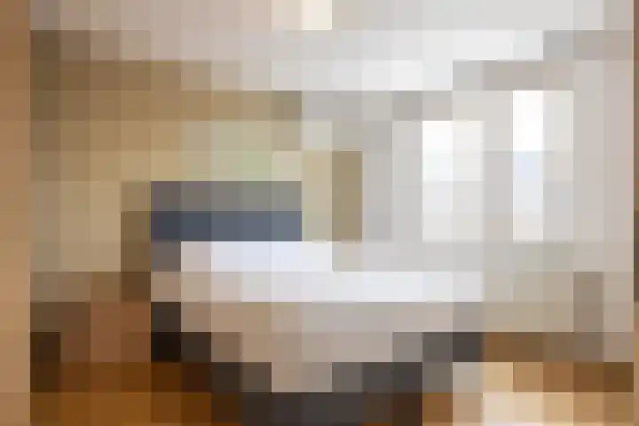 Fossielenerf 512 Heerlen thumbnail 21