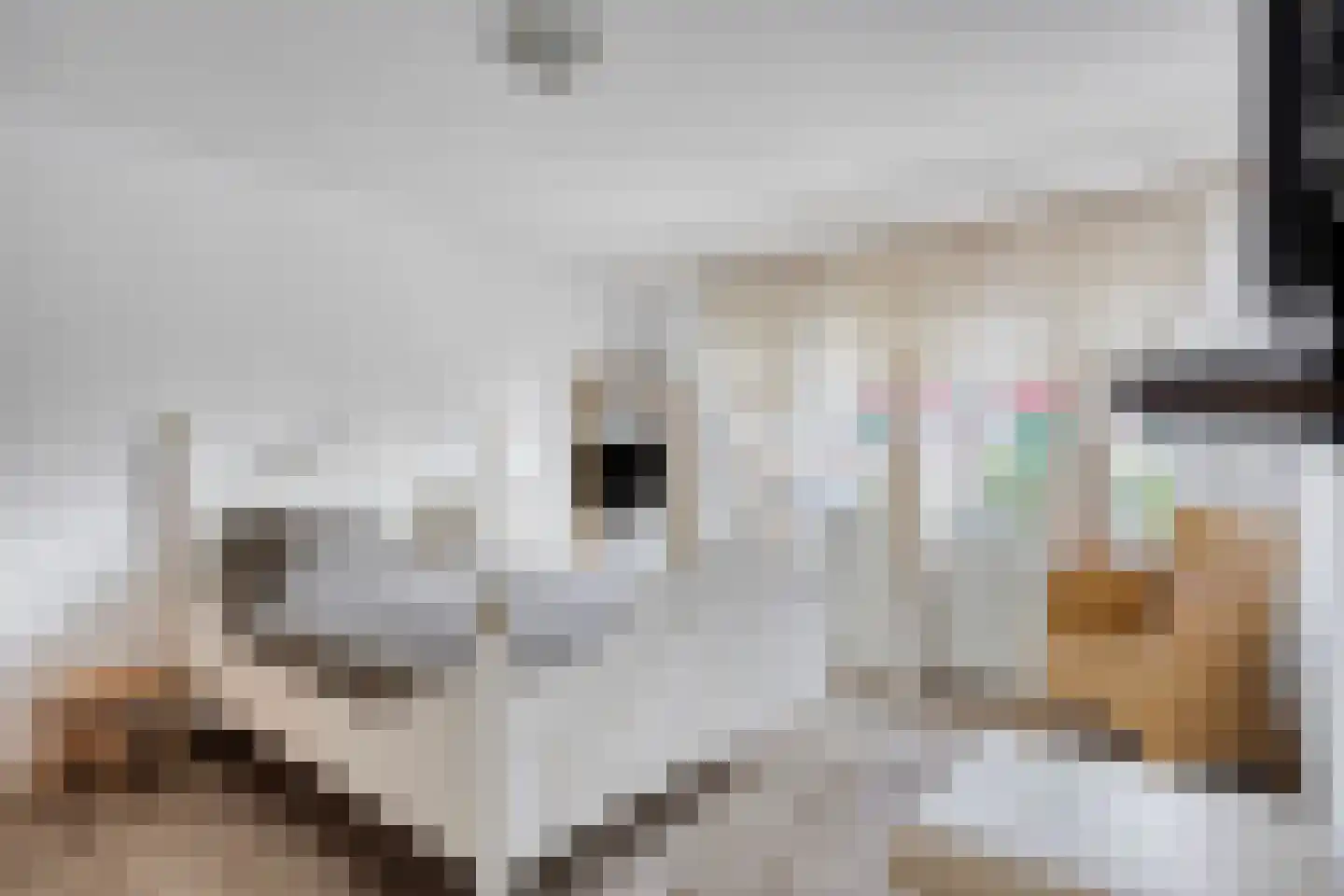 Fossielenerf 512 Heerlen thumbnail 25